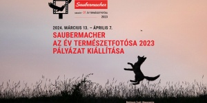 Természetfotó kiállítás Szekszárd 2024. Saubermacher Az Év Természetfotósa 2023 pályázat kiállítása