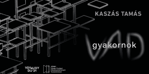 Kamarakiállítás Budapest 2023. Kaszás Tamás: Vad gyakornok a Magyar Nemzeti Galériába