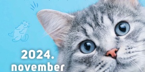 Nemzetközi Macskakiállítás 2023 Budapest. Happy Cat Nemzetközi Macskakiállítás