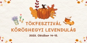 Kőröshegyi levendulás programok 2023. Tökfesztivál