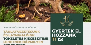 A Gúthi-erdő és a Dél-Nyírségi Erdőspuszták természeti kincsei kiállítás és tárlatvezetés