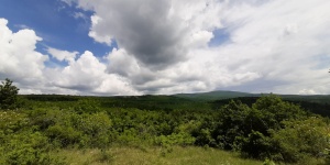Madarak és fák napja a Bükki Nemzeti Parkban 2024
