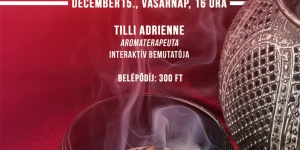 Székesfehérvári előadás 2019. Patikaleidoszkóp `Okos füvek, okos fák` c. a Fekete Sas Patikamúzeumba Székesfehérvári előadás 2019. Patikaleidoszkóp `Okos füvek, okos fák` c. a Fekete Sas Patikamúzeumba