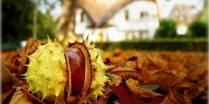 Családi őszi szünet wellness Bükfürdőn, programokkal, fürdőbelépővel a Hunguest Hotel Répce Gold-ban Családi őszi szünet wellness Bükfürdőn, programokkal, fürdőbelépővel a Hunguest Hotel Répce Gold-ban