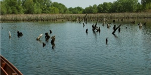 Kétnapos osztálykirándulás a Tisza-tónál, osztálykirándulás ajánlatok a Szabics kikötővel Kétnapos osztálykirándulás a Tisza-tónál, osztálykirándulás ajánlatok a Szabics kikötővel
