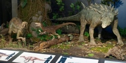 A dinoszauruszok kora Magyarországon, állandó kiállítás a Magyar Természettudományi Múzeumban A dinoszauruszok kora Magyarországon, állandó kiállítás a Magyar Természettudományi Múzeumban