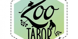 Állatkerti tábor Budapesten, Zoo tábor 6-12 éveseknek a Fővárosi Állat- és Növénykertben Állatkerti tábor Budapesten, Zoo tábor 6-12 éveseknek a Fővárosi Állat- és Növénykertben