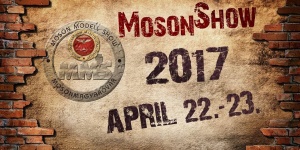 MosonShow 2018. Nemzetközi Makett Kiállítás és Verseny és Duna Takarék Makettépítő Kupa MosonShow 2018. Nemzetközi Makett Kiállítás és Verseny és Duna Takarék Makettépítő Kupa