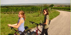 Kerékpártúrák Sopron környékén és a Fertő-tóhoz, ajándék wellness kuponokkal a Szieszta Hotelben Kerékpártúrák Sopron környékén és a Fertő-tóhoz, ajándék wellness kuponokkal a Szieszta Hotelben