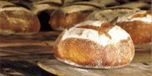 Péktörténeti séta a gőzmalomtól a kézműves pékségekig, hol és hogyan készülnek a legfinomabb pékáruk Péktörténeti séta a gőzmalomtól a kézműves pékségekig, hol és hogyan készülnek a legfinomabb pékáruk