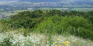 Balatoni túrák a Balaton-felvidéki Nemzeti Parkban 2024