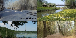 Tisza-tó gyalogtúrák vezetéssel a Szabics Kikötő szervezésében Tisza-tó gyalogtúrák vezetéssel a Szabics Kikötő szervezésében