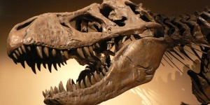 A mi dinoszauruszaink, múzeumpedagógiai foglalkozás óvodásoknak a Természettudományi Múzeumban