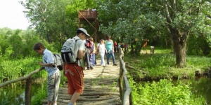 Egynapos osztálykirándulás a Tisza-tónál, osztálykirándulás ajánlatok a Szabics kikötővel Egynapos osztálykirándulás a Tisza-tónál, osztálykirándulás ajánlatok a Szabics kikötővel