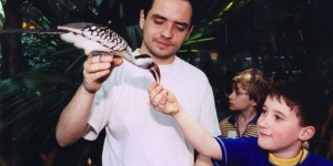 Idegenvezetés a Tropicariumban rájaetetéssel, kígyósimogatással Budapesten Idegenvezetés a Tropicariumban rájaetetéssel, kígyósimogatással Budapesten