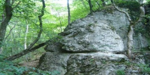 Barát-réti tanösvény Felsőtárkány, ökotúra a Bükki Nemzeti Parkban Barát-réti tanösvény Felsőtárkány, ökotúra a Bükki Nemzeti Parkban