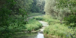 Bárányfoki tanösvény, ökotúra a Duna-Dráva Nemzeti Parkban, a Gemenci erdőkben Bárányfoki tanösvény, ökotúra a Duna-Dráva Nemzeti Parkban, a Gemenci erdőkben