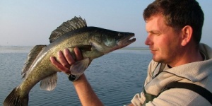 Csónakos horgászat a Tisza-tónál, csónakbérléssel a Szabics Kikötőben Csónakos horgászat a Tisza-tónál, csónakbérléssel a Szabics Kikötőben