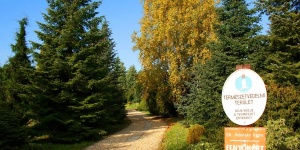 Látogatás a miskolci Avasi Arborétumban, a Dr. Adorján Imre Fenyőkertben Látogatás a miskolci Avasi Arborétumban, a Dr. Adorján Imre Fenyőkertben
