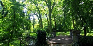 Alcsúti Arborétum séták, kirándulás az egykori főhercegi parkban