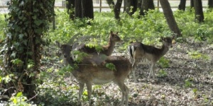 Ökoturisztikai központ a Tisza-tónál, látogatás a Tisza-tavi Ökocentrumban Ökoturisztikai központ a Tisza-tónál, látogatás a Tisza-tavi Ökocentrumban