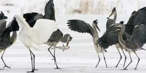 Duna-Dráva Nemzeti Park programok 2023