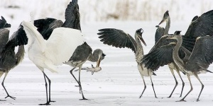 Duna-Dráva Nemzeti Park programok 2024