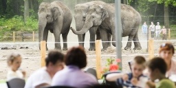Zöld Piramis, Ócenárium, Esőerdőház és Tarzan ösvénye, látogatás a Nyíregyházi Állatparkban Zöld Piramis, Ócenárium, Esőerdőház és Tarzan ösvénye, látogatás a Nyíregyházi Állatparkban