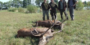 Vadászati lehetőségek a Berek Horgászpark környékén, a Hövej vadászterületen, szállással Vadászati lehetőségek a Berek Horgászpark környékén, a Hövej vadászterületen, szállással