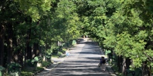Farkasréti temető séta iskolai és turista csoportok számára Budapesten előzetes bejelentkezéssel