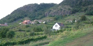 Somló borkóstoló, szervezett program baráti társaságoknak, cégeknek a Villa Classica Hotelben Somló borkóstoló, szervezett program baráti társaságoknak, cégeknek a Villa Classica Hotelben