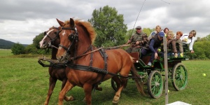 Bakonyi betyártúra, betyárpróba, izgalmas csapatépítő feladatok a Zirc közeli Szépalma Hotelben Bakonyi betyártúra, betyárpróba, izgalmas csapatépítő feladatok a Zirc közeli Szépalma Hotelben