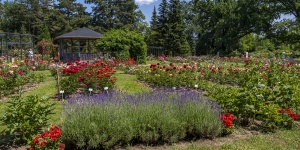 Fotó: Zalatnai Márta