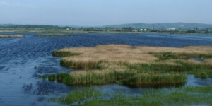 Dinnyési-fertő programok 2025