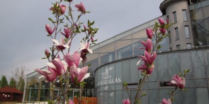 Kisújszállási fürdő programok 2025. Események, rendezvények
