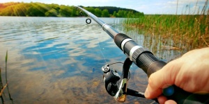 Wellness horgászattal a Tisza-tónál, tiszafüredi wellness szállodánkban Wellness horgászattal a Tisza-tónál, tiszafüredi wellness szállodánkban