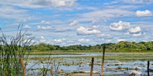 Őszi süllőzés, őszi horgászat a Tisza-tónál, szállással a Balneum Hotelben Őszi süllőzés, őszi horgászat a Tisza-tónál, szállással a Balneum Hotelben