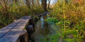 Tisza-tavi kerékpártúra Tiszafüredről, a Szabics Kikötő és Szabadidőpart szervezésében