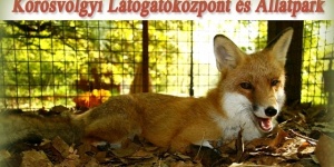 Éjszakai életmódot folytató állatok 2019. Szezonzáró izgalmas program az Állatparkban Éjszakai életmódot folytató állatok 2019. Szezonzáró izgalmas program az Állatparkban