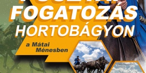 Pusztaprogram a Hortobágyon, csikósbemutató tavasztól őszig