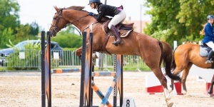 Hortobágyi lovas verseny 2022. Hortobágy Országos minősítő szabadtéri DÍJUGRATÓ VERSENY