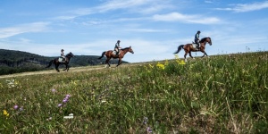 Bakonyi lovaglás, lovaglás ajánlatok a Bakony és Balaton térségében