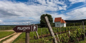 Palkonya programok 2025. Események, rendezvények, fesztiválok a gasztrofaluban