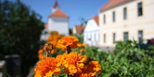 Balatonarácsi programok 2023