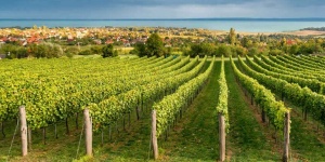Balatonfüredi tavaszi programok 2023