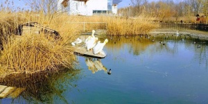 2 napos osztálykirándulás a Tisza-tóhoz, a poroszlói Tisza-tavi Ökocentrum szervezésében