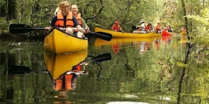 Tisza-tavi kenutúra túravezetővel és látogatás a Tisza-tavi Ökocentrumban Poroszlón