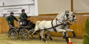 Fogathajtó Verseny Szilvásvárad 2023