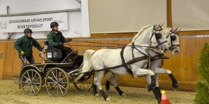 Fogathajtó Verseny Szilvásvárad 2024