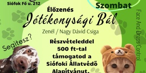 Márton napi jótékonysági bál Balatonszárszón a Diósi Zenekarral Márton napi jótékonysági bál Balatonszárszón a Diósi Zenekarral
